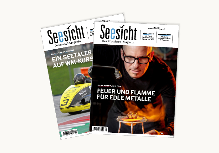 Reportage im Seesicht-Magazin Zürich und Seetal  5/21 – Service-Entwicklung – Ein Wertgenerator für Gross und Klein